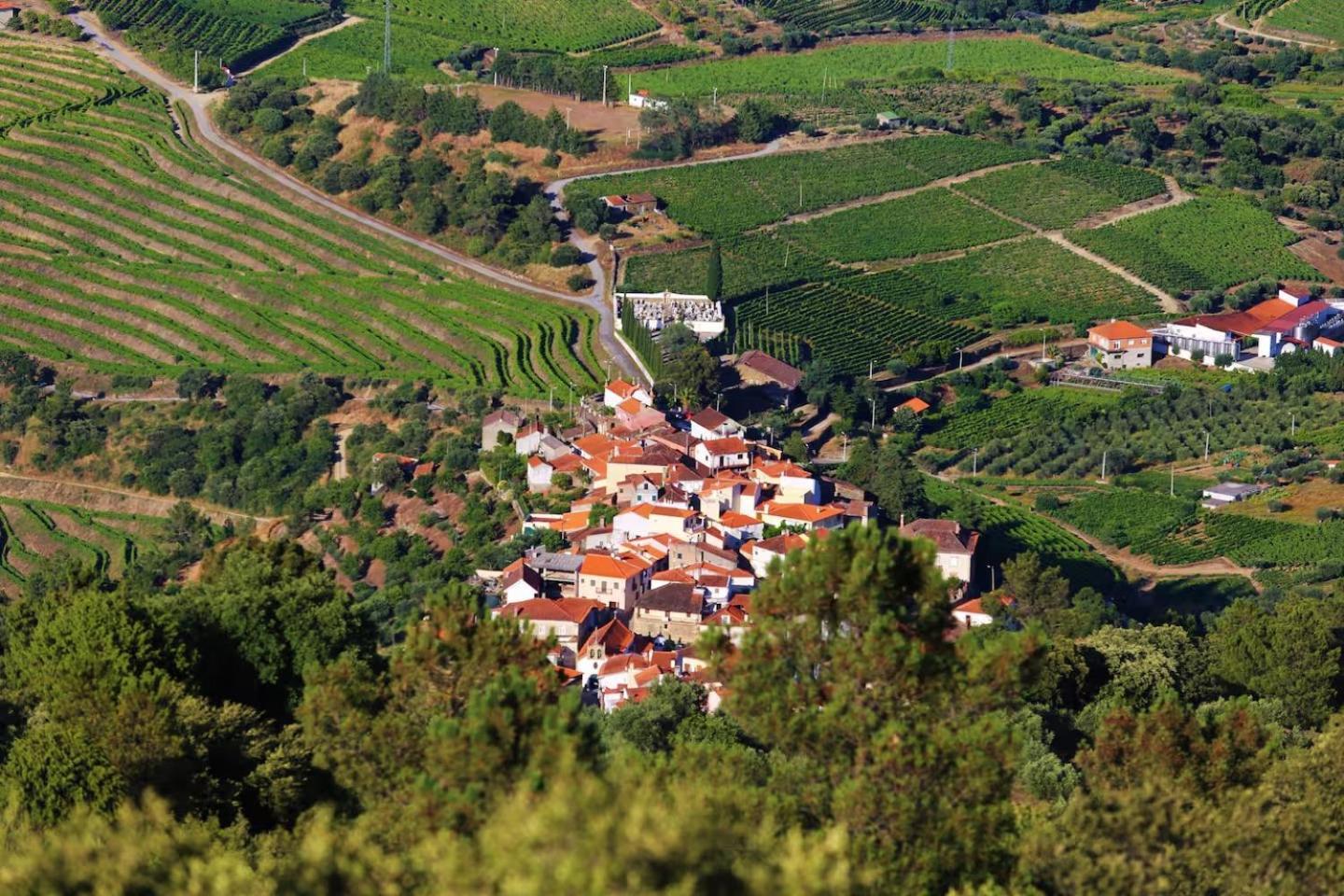 Babhouse Casa Das Abelhas - Coracao Do Douro São João da Pesqueira Buitenkant foto